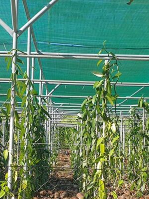 Farm Shade Net