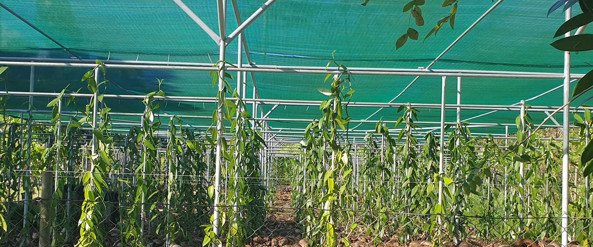 Farm Shade Net