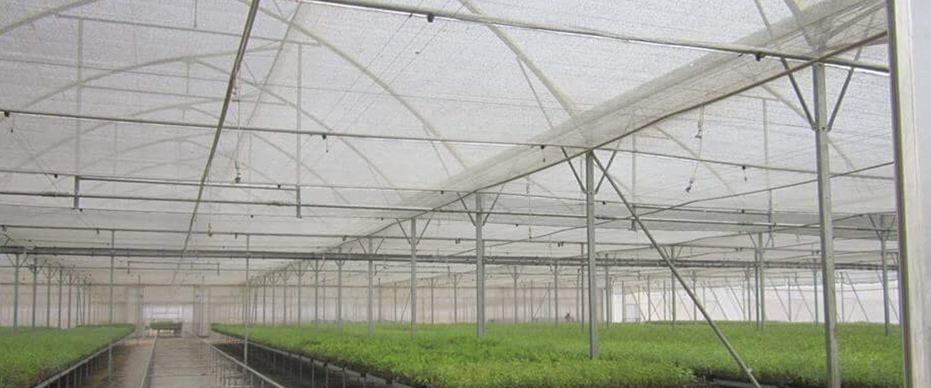 Green House Shade Nets