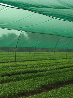 HDPE Green Agro Nets