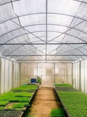 White Agro Shade Net