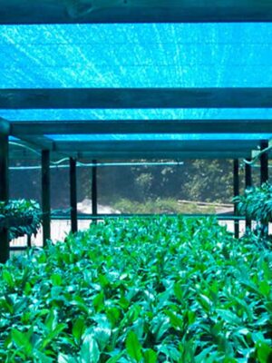 Agro Shade Blue Net