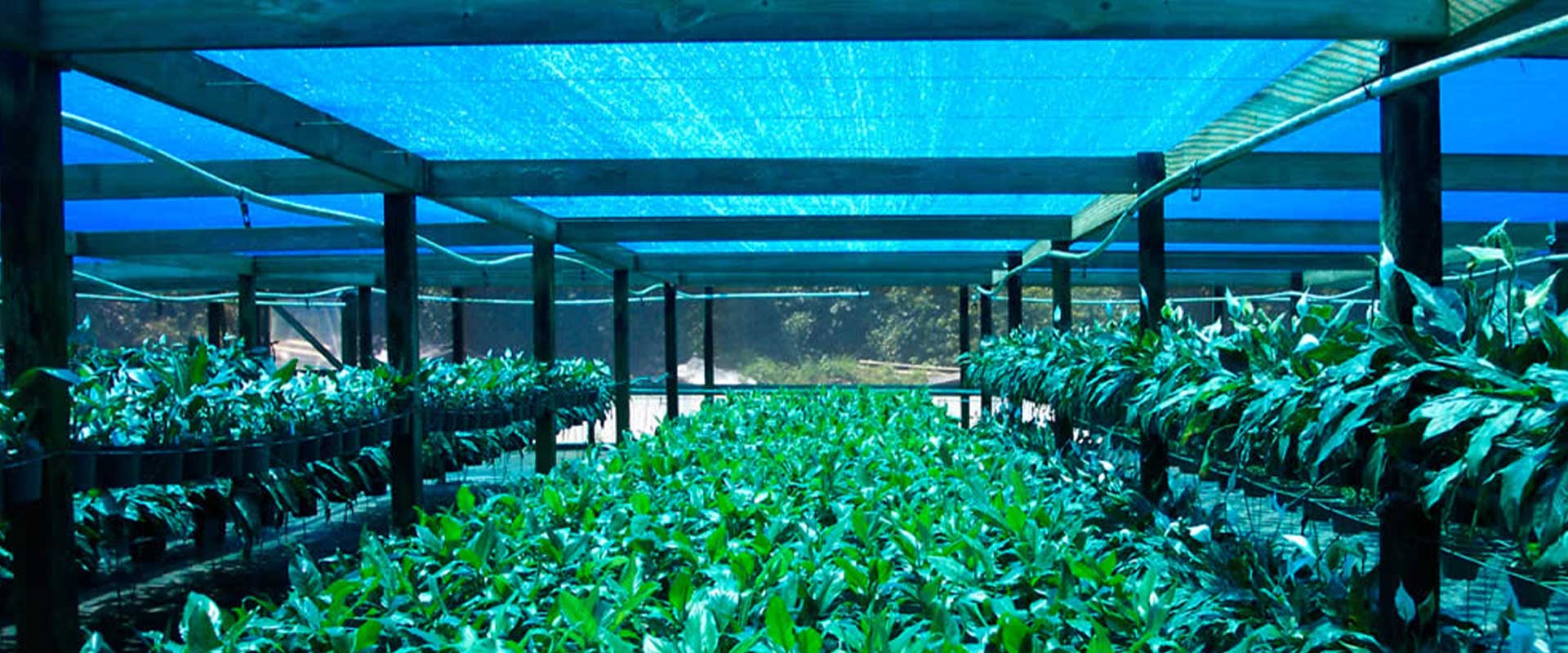 Agro Shade Blue Net
