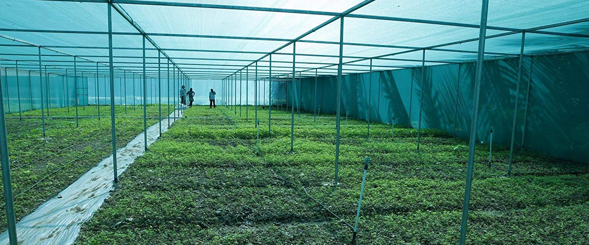 Green Farm Shed Net